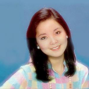 邓丽君 - 恰似你的温柔